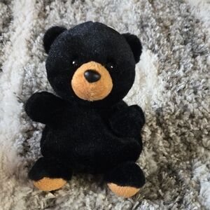 Palm Pals- Black Bear